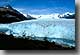 Der Moreno Gletscher schiebt sich aufs Land